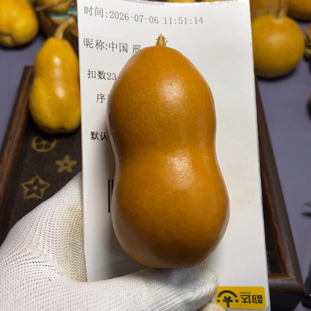 中**邢哈哈哈哈哈哈哈