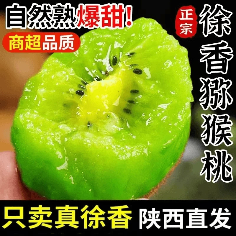 正宗陕西周至徐香猕猴桃皮薄多汁营养酸甜可口包邮到家催熟食用