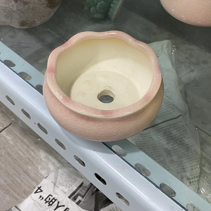 花盆抢购清货马上开始