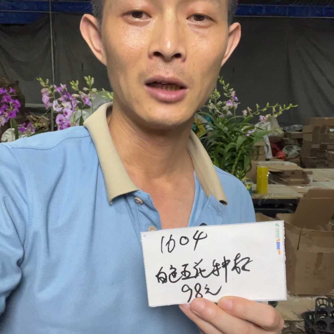 大部分花苞少量开放秋石斛白天鹅5花种好