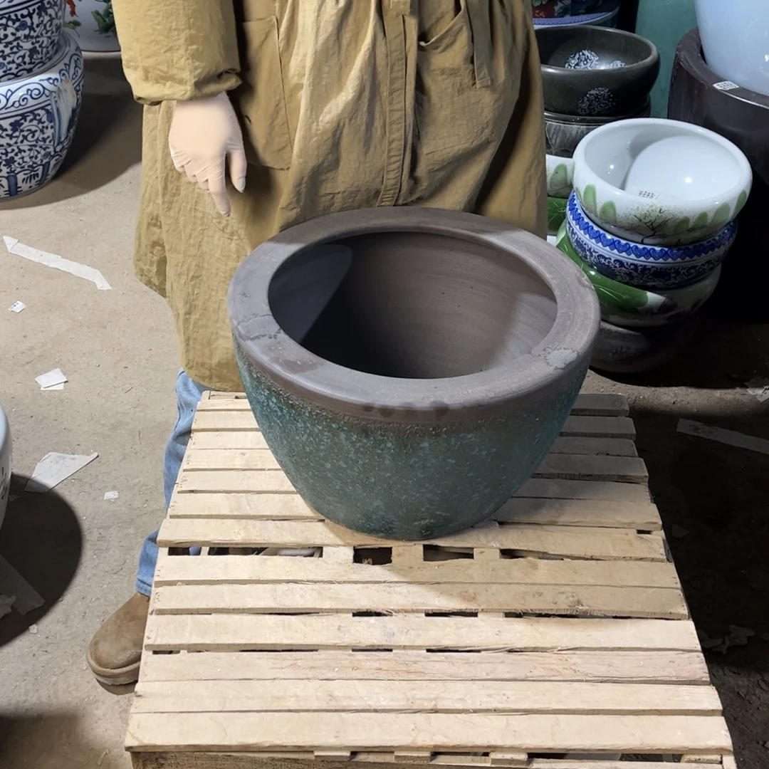 瓷片兰泡42.88888888