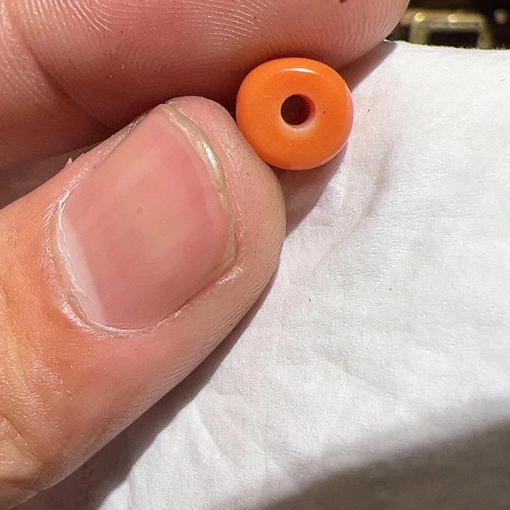 香榧木在这里的时候