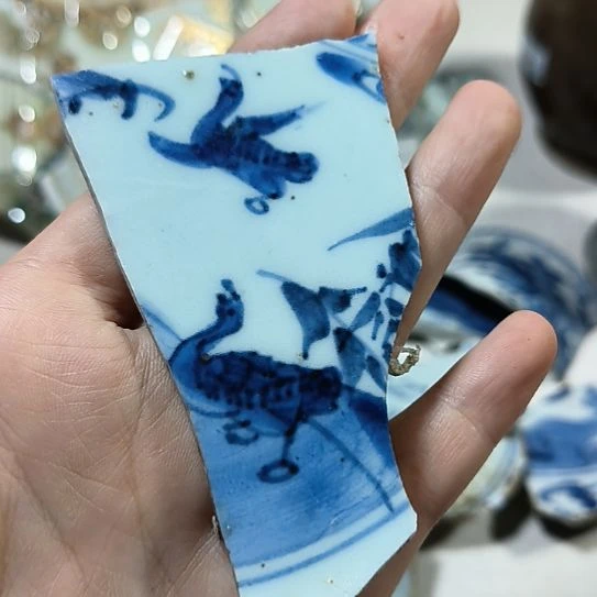 瓷片瓷片瓷片瓷片瓷片