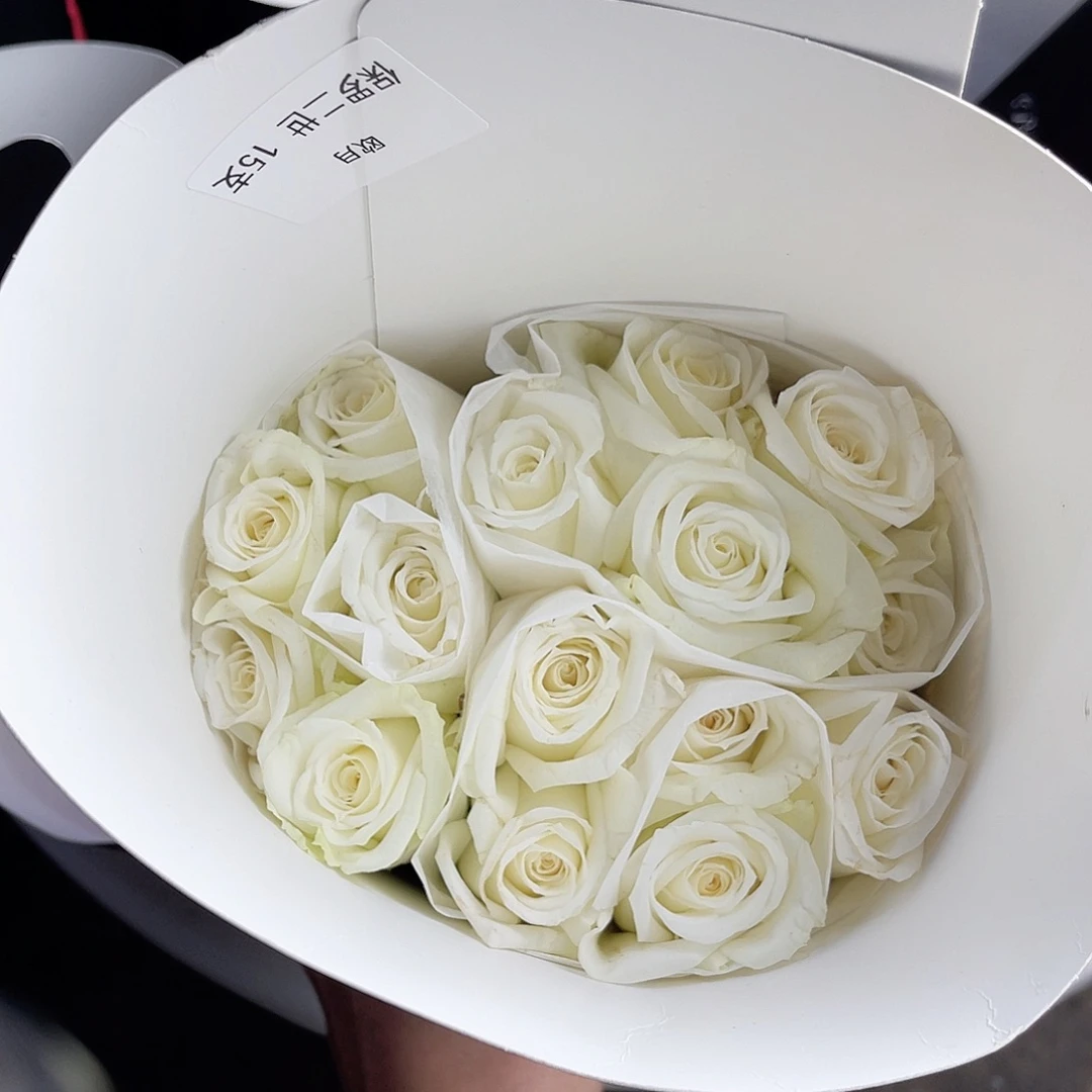 完全开放（保罗二世）一扎