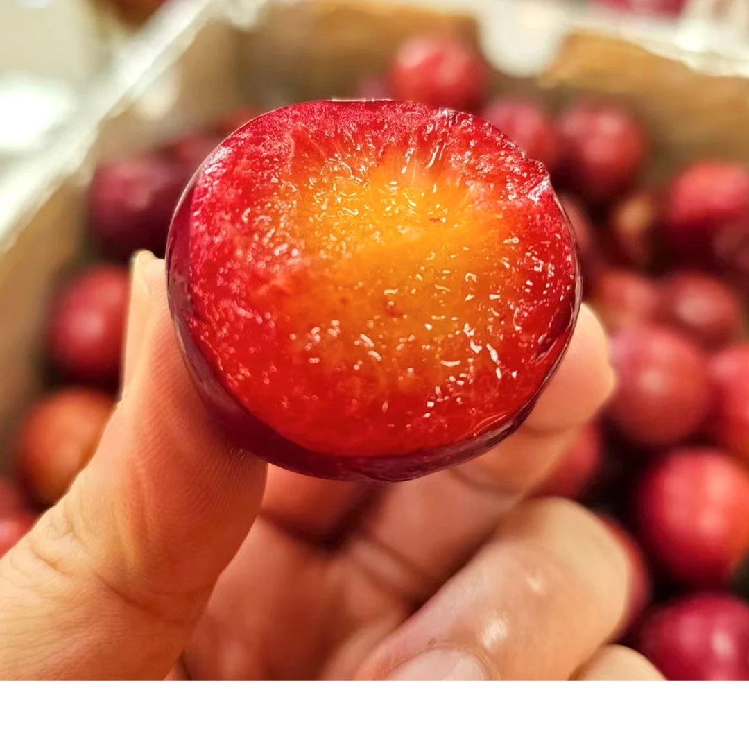 【雪山高端智利空运樱桃李 3J-4J】季节限定5斤樱桃李包邮顺丰