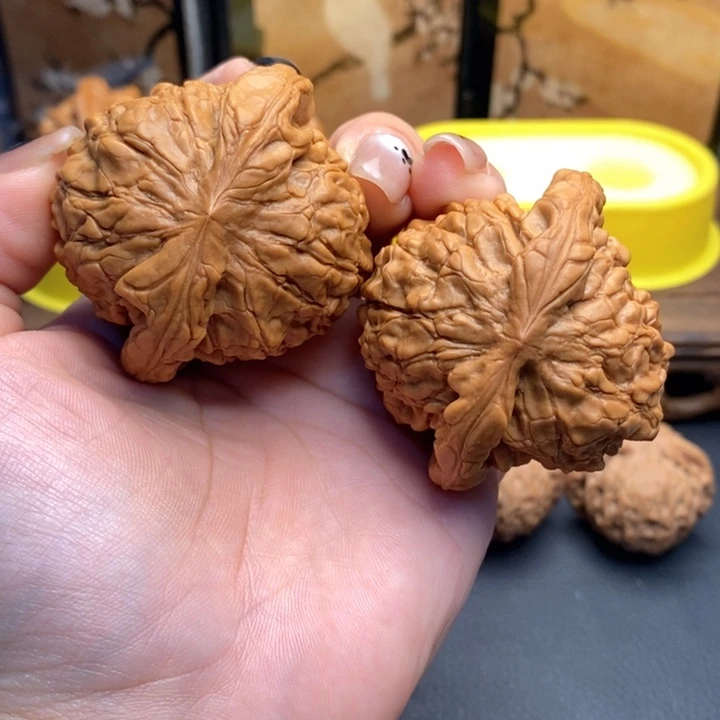 文玩核桃把件547龙鼎51全品