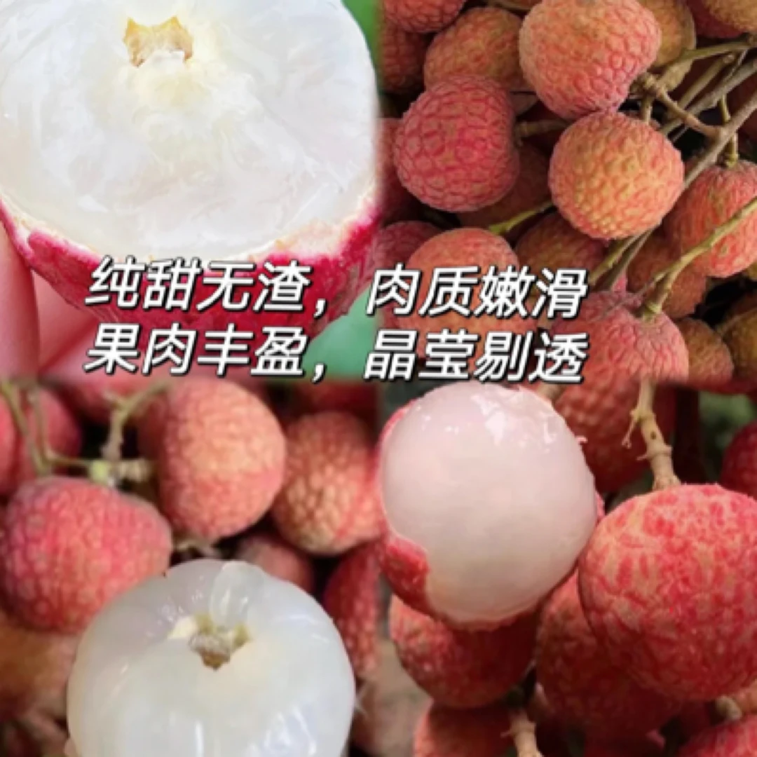 鲜甜荔枝一斤山东省