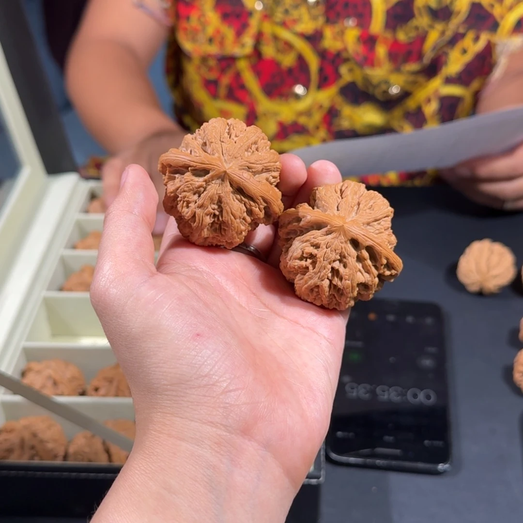 文玩核桃把件240号45mm平谷大粗筋