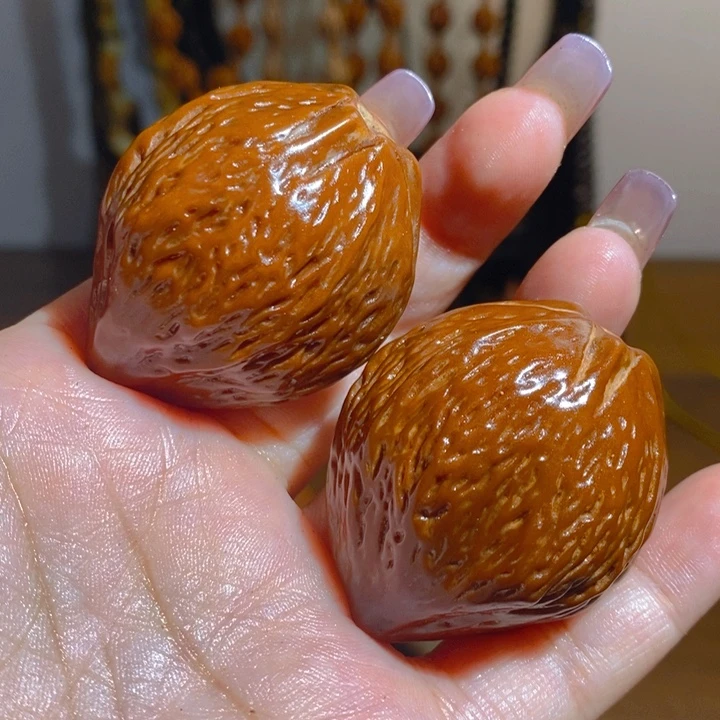 野生金蝉橄榄核把件3945