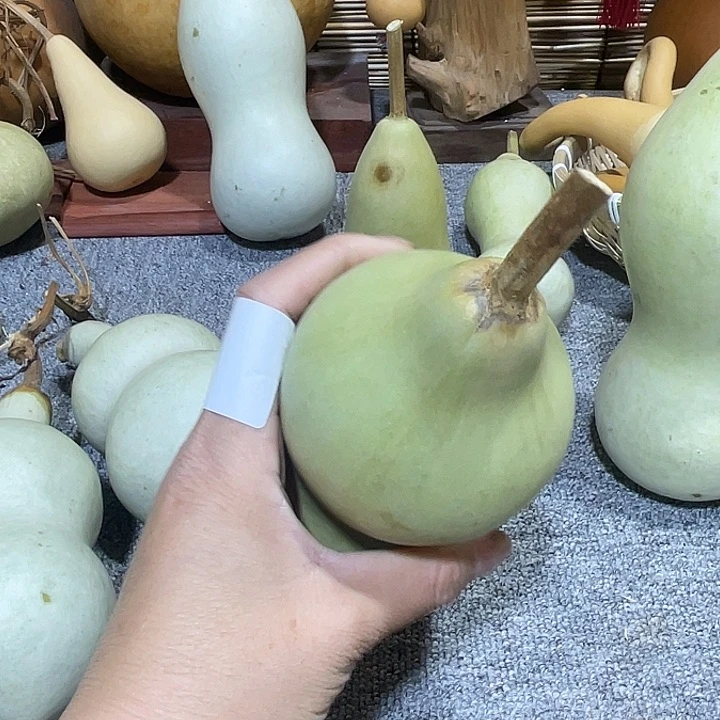 大果紫檀（缅甸花梨）淡*