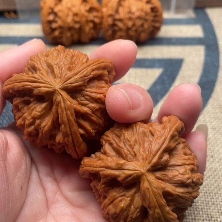 用***3核桃白狮子44核桃