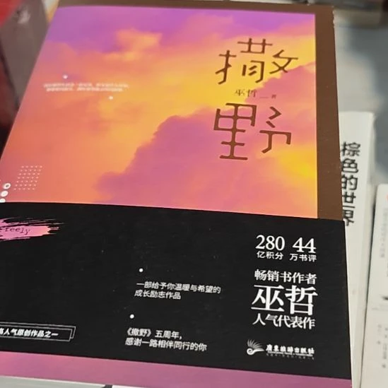 撒野平装库存书全新（务必塑封）
