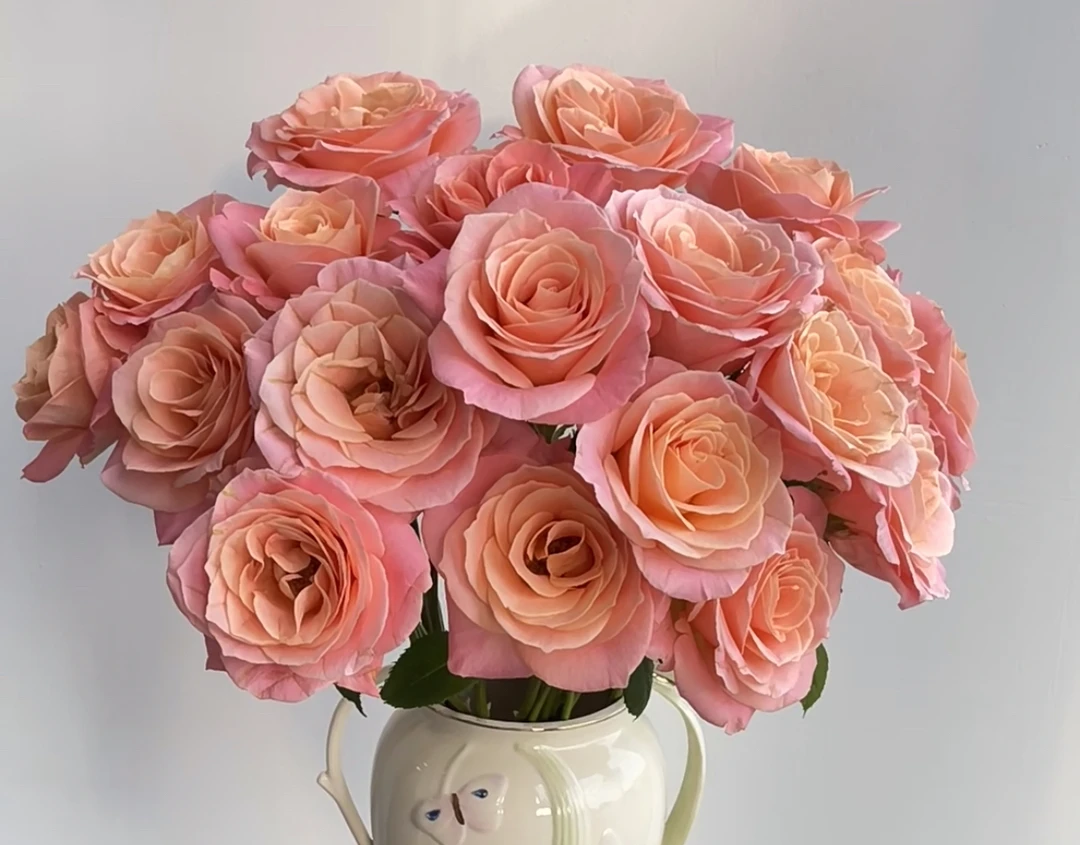 (曼）朱小姐15支+5支防损鲜花任意满2单包邮