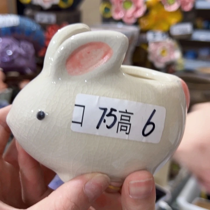 拍满18.8包邮发货