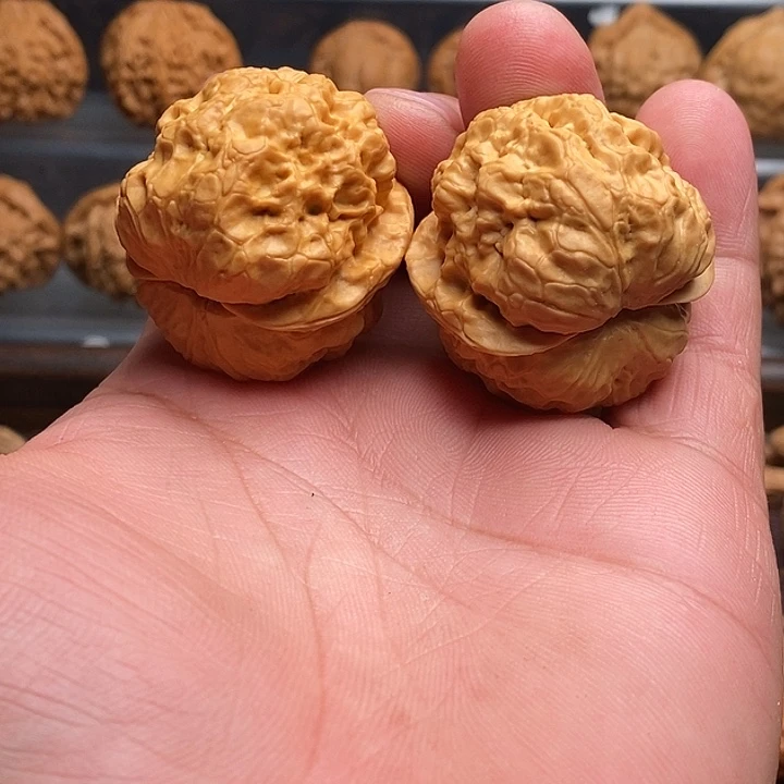 把件文玩核桃阿*歌哈哈哈哈哈哈哈哈哈哈哈