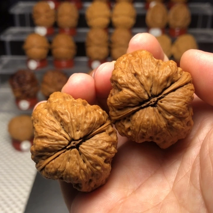 文玩核桃把件32龙脊妖蟾