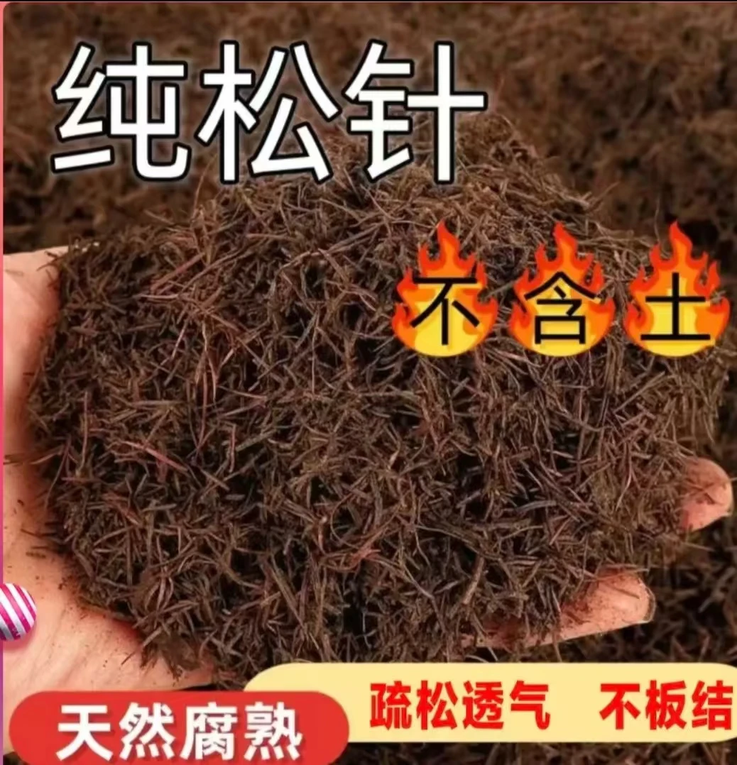 发酵纯松针腐熟松针君子兰通用营养土兰花花卉绿植月季蓝莓三角梅