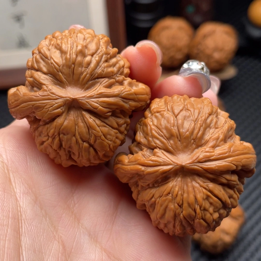 文玩核桃把件华坤龙