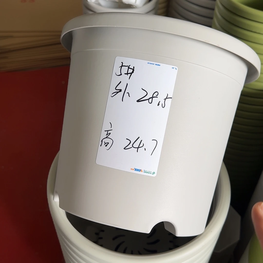 树脂四季5号无托6个灰白微瑕