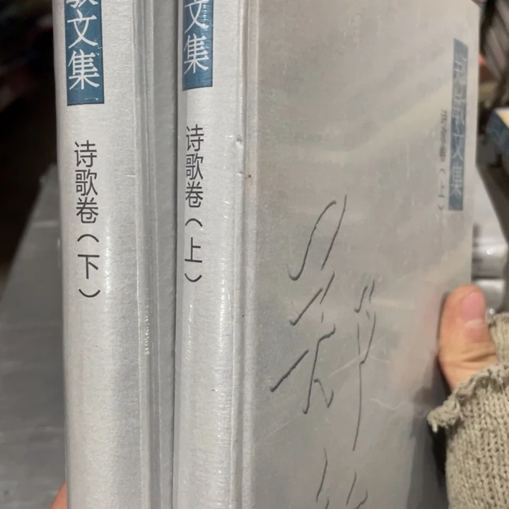 郑敏文集精装全两册