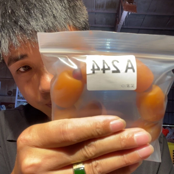 大叶紫檀（黑酸枝木类）244