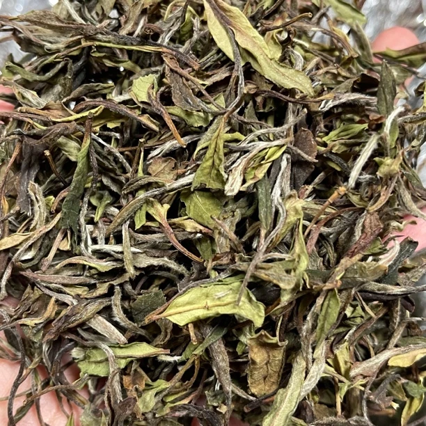 2018年白牡丹小菜茶福鼎白茶白牡丹荒野花香高山核心高山韵散茶
