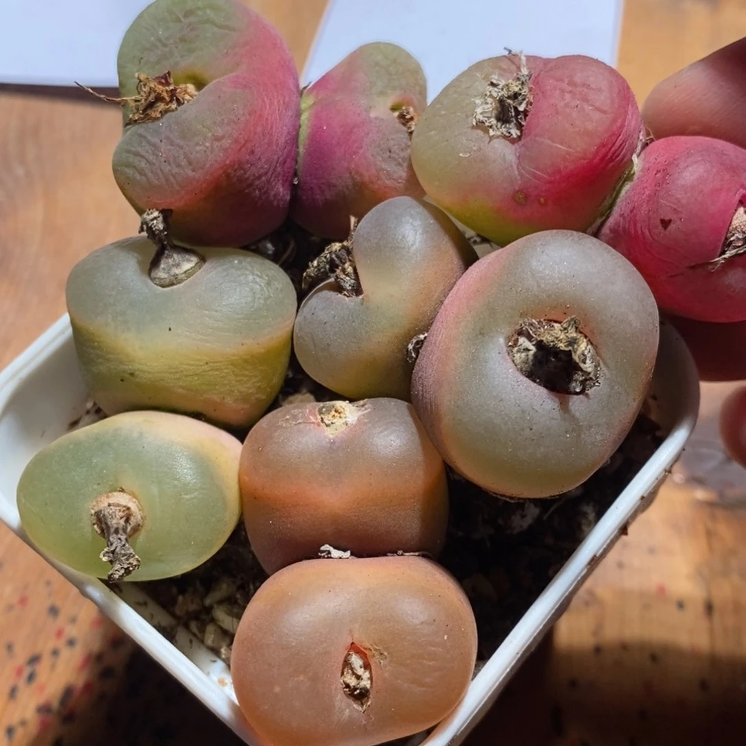 10121一组一组一组