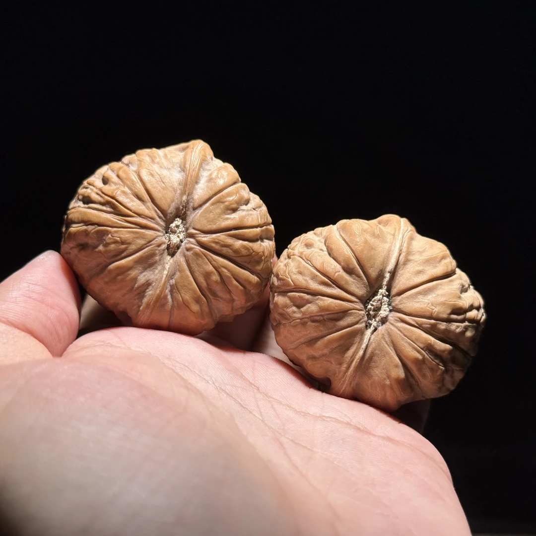 【头货•南瓜墩】40尺全品 23004