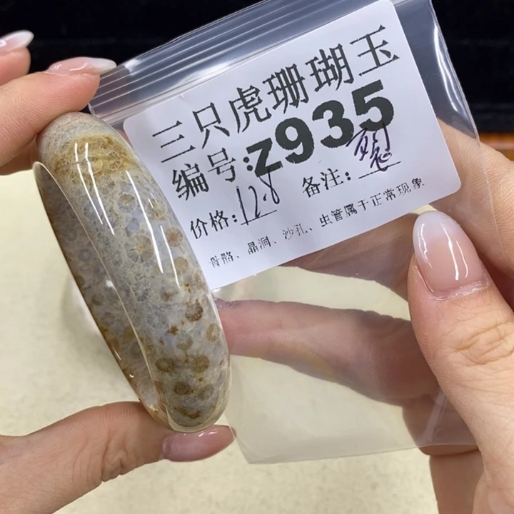 硅化珊瑚（珊瑚玉）1未镶嵌煎****子