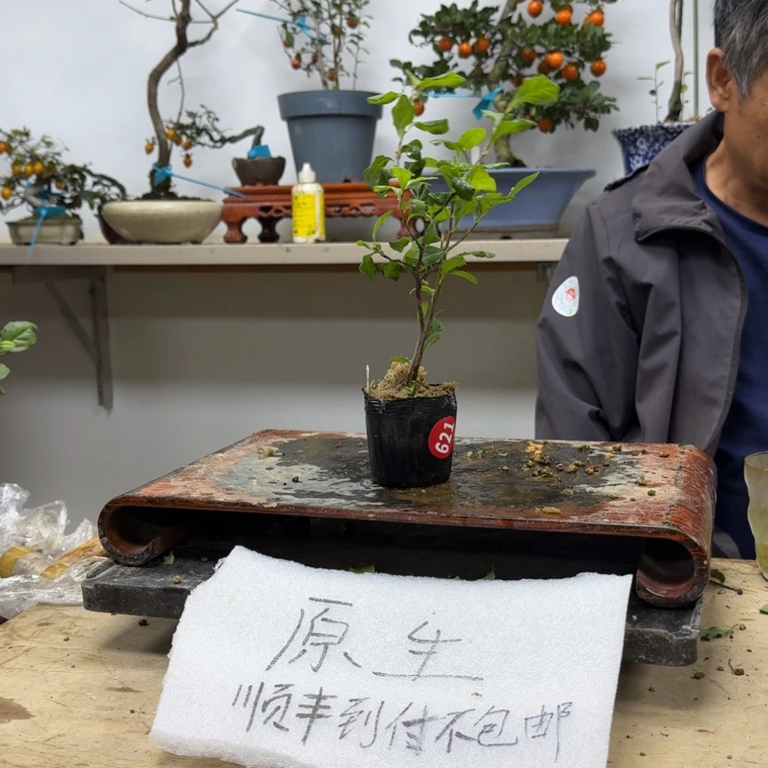 卓***8无花朵621顺丰到付不包邮