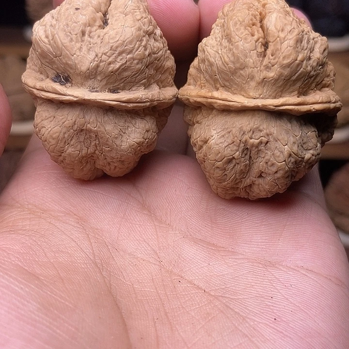 吊坠文玩核桃大尺寸蝴蝶蟾