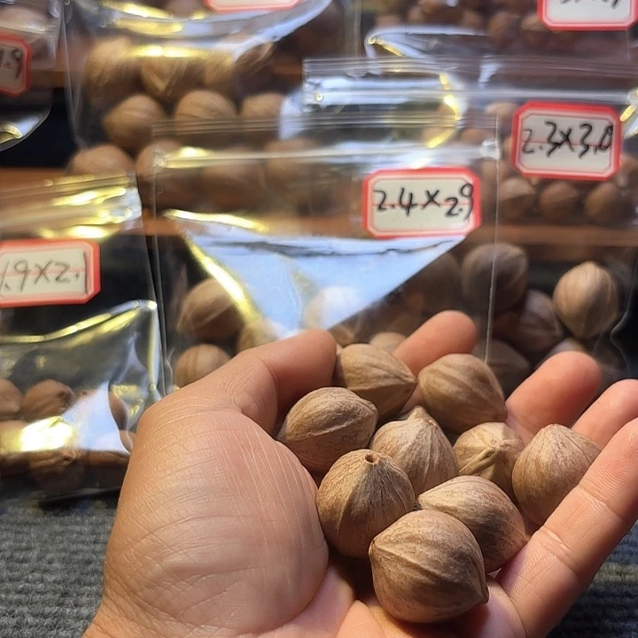 上***爷吊坠橄榄核2.4❌2.5四花素核