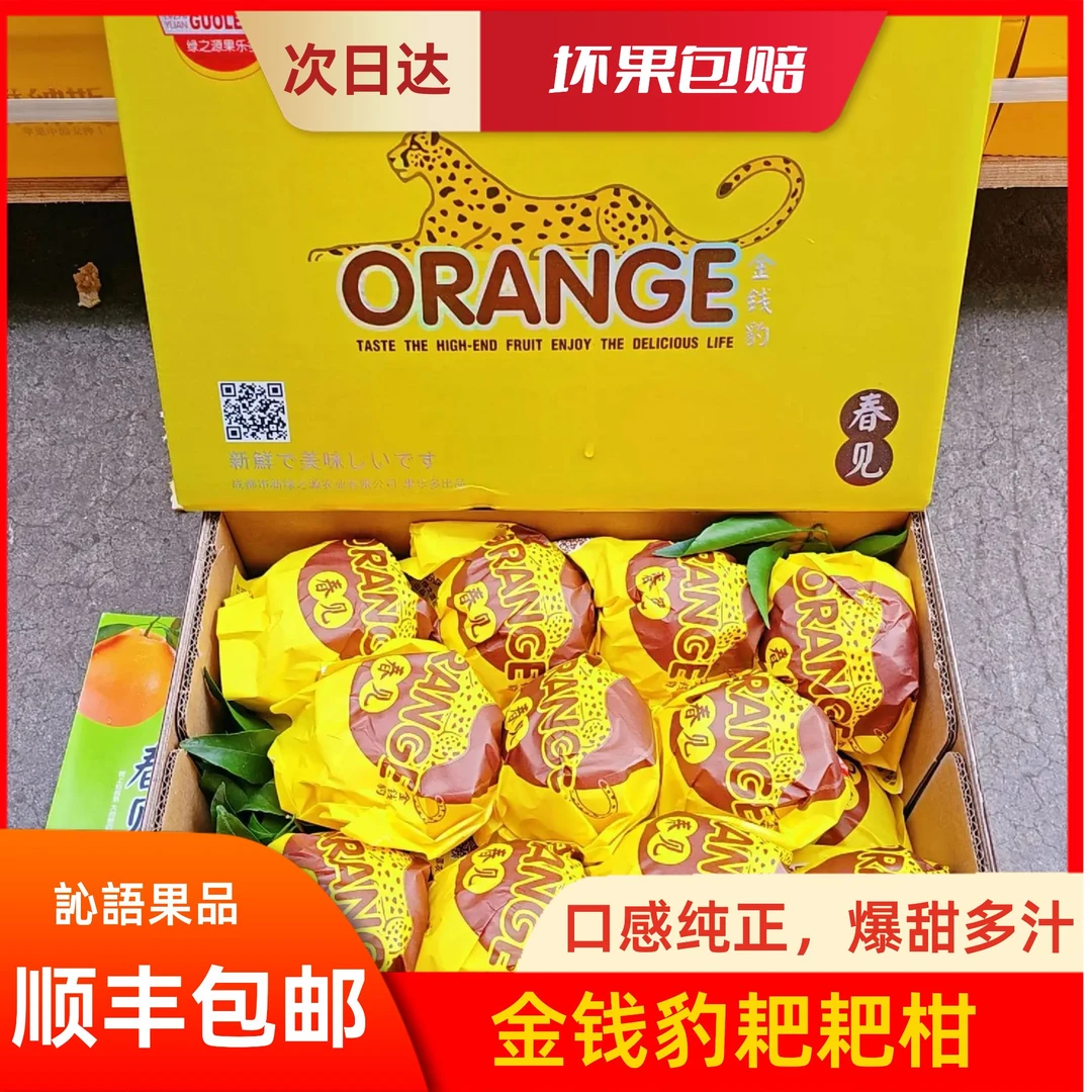 现货金钱豹春见高品质耙耙柑礼盒装L型毛重约9斤左右粒粒爆汁新鲜水果顺丰包邮【好东西】