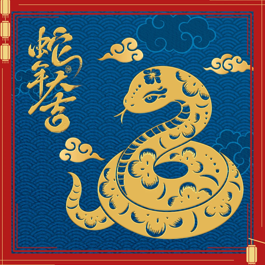 【蛇年纳金超值福利升级】一人仅限一单优惠卡私人定制