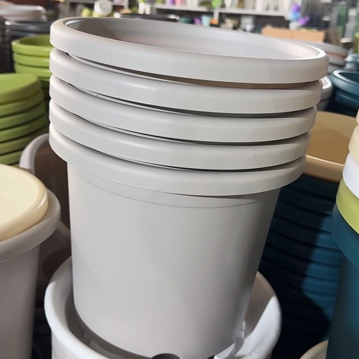 微瑕5#灰白6个无托