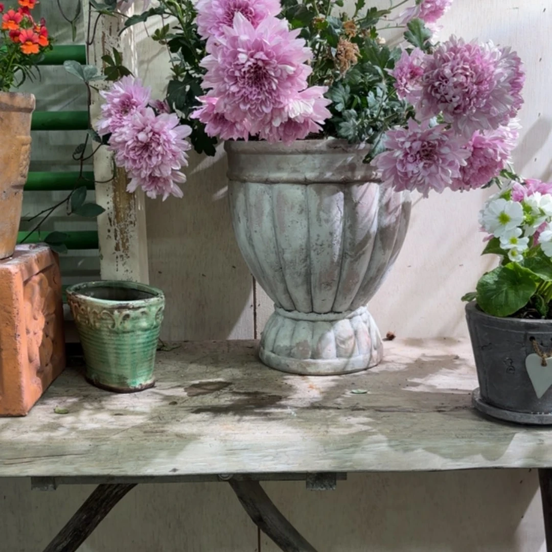 许纯的花房 南瓜奖杯