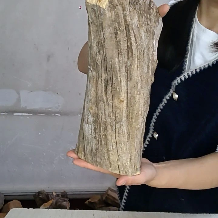 曹***瞒木太行崖柏摆件摆件摆件