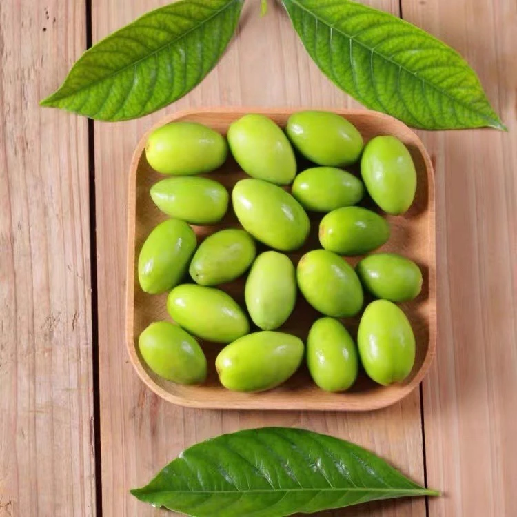 新鲜采摘当季青枣脆橄榄生吃回甘