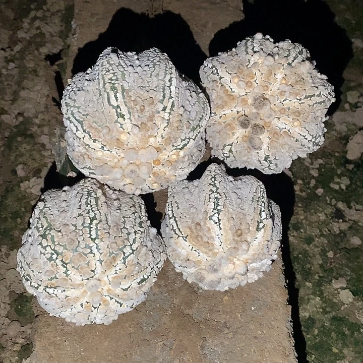 蕾***靴哈哈哈哈哈哈哈哈哈哈