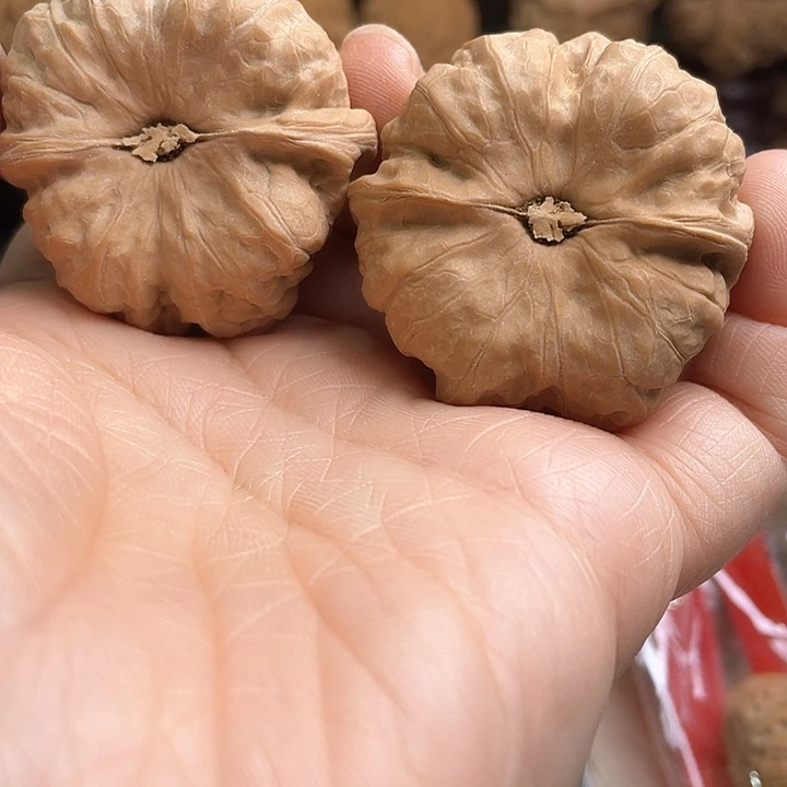 童****?核桃核桃核桃核桃