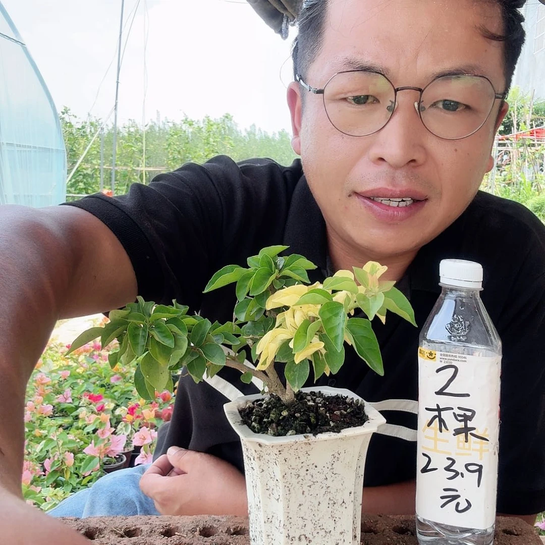 天***…完全开放111111111