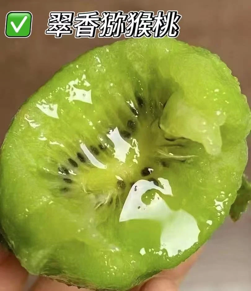 周至翠香猕猴桃（核心产区）| 醇甜多汁 果香浓郁 现摘先发新鲜直达