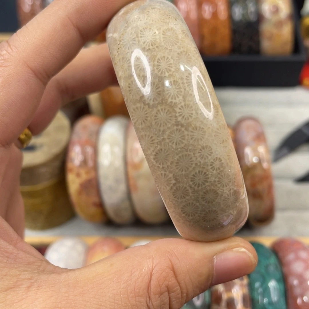未镶嵌手镯硅化玉