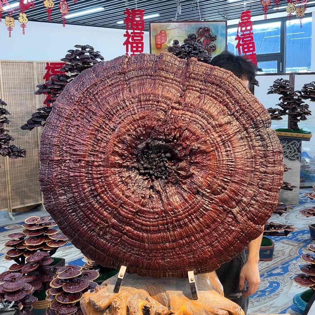 【闪购商品】88888