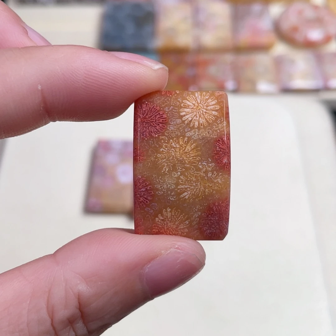 【闪购商品】未镶嵌吊坠(赠链)硅化玉T***y