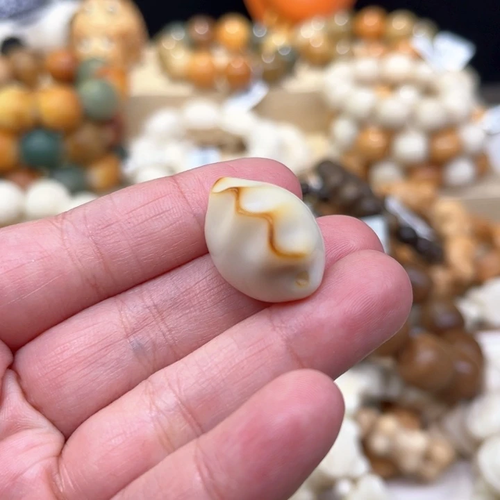 菩提根/象牙果手串饺子1-23-200