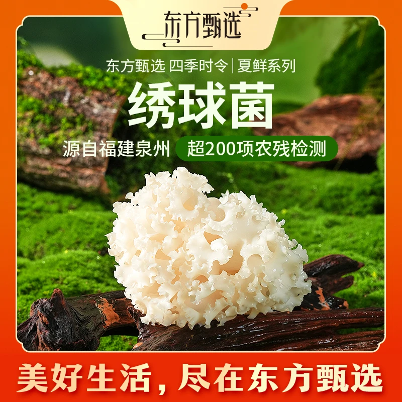 东方甄选自营绣球菌新鲜应季人工种植菌菇火锅凉拌食材坏蔬包赔