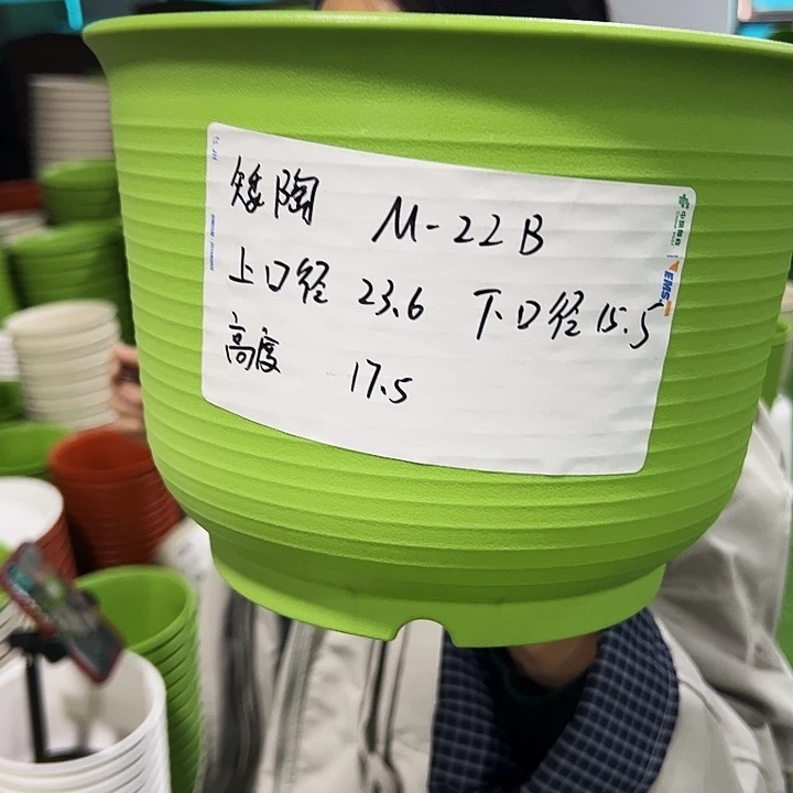 正品矮陶口24高18白色无托6只