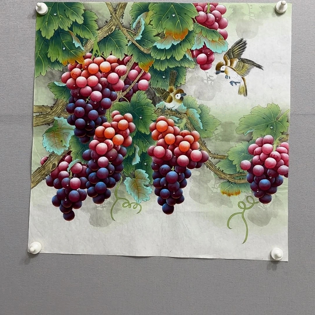 5***然国画工笔葡萄斗方贾敏