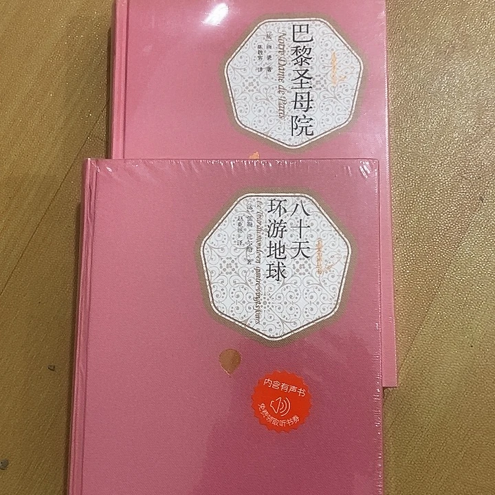 巴黎圣母院，环游地球80天